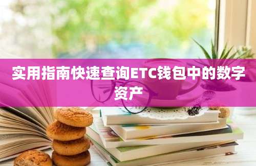 实用指南快速查询ETC钱包中的数字资产