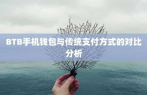 BTB手机钱包与传统支付方式的对比分析