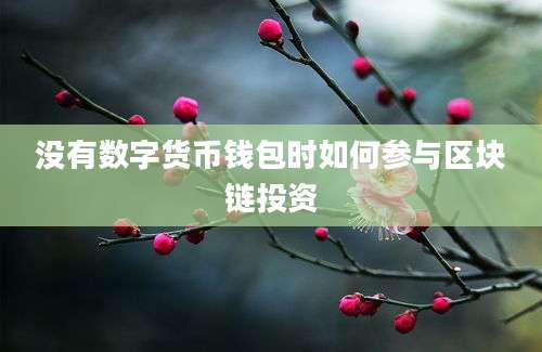 没有数字货币钱包时如何参与区块链投资