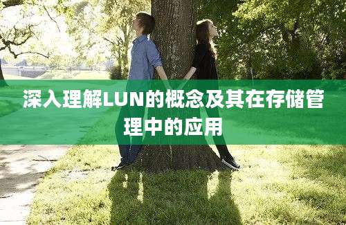 深入理解LUN的概念及其在存储管理中的应用