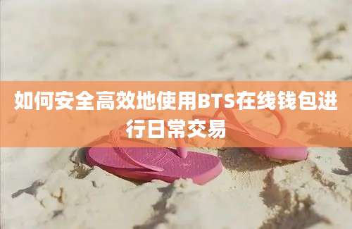 如何安全高效地使用BTS在线钱包进行日常交易