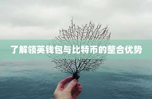 了解领英钱包与比特币的整合优势