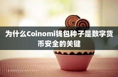 为什么Coinomi钱包种子是数字货币安全的关键