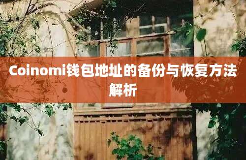 Coinomi钱包地址的备份与恢复方法解析