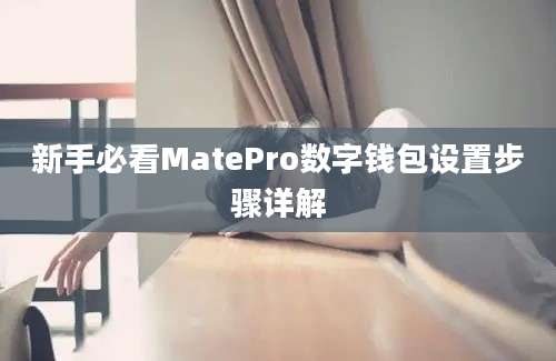 新手必看MatePro数字钱包设置步骤详解