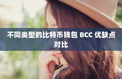 不同类型的比特币钱包 BCC 优缺点对比