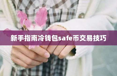 新手指南冷钱包safe币交易技巧