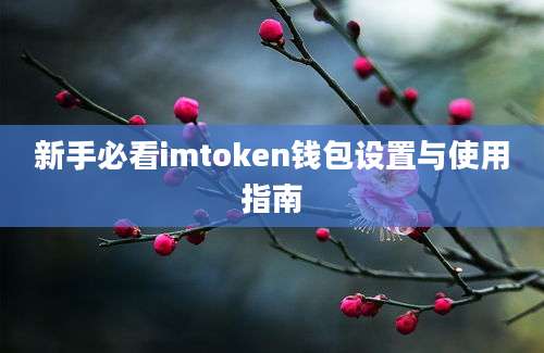 新手必看imtoken钱包设置与使用指南