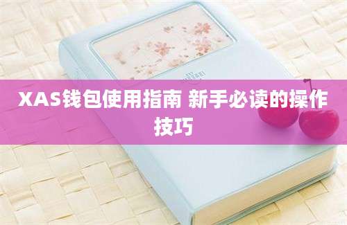 XAS钱包使用指南 新手必读的操作技巧