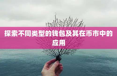 探索不同类型的钱包及其在币市中的应用