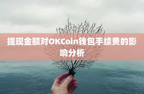 提现金额对OKCoin钱包手续费的影响分析