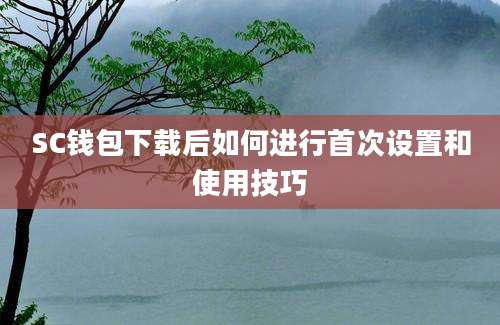 SC钱包下载后如何进行首次设置和使用技巧