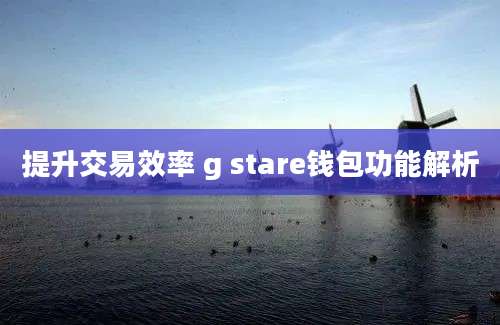 提升交易效率 g stare钱包功能解析