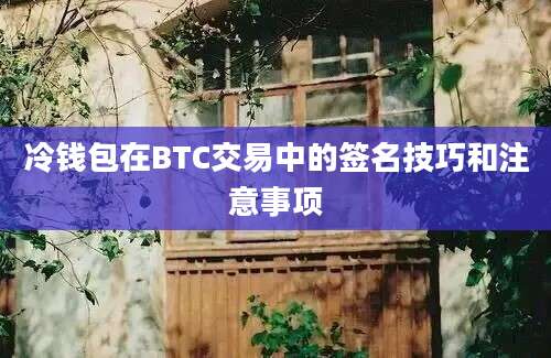 冷钱包在BTC交易中的签名技巧和注意事项