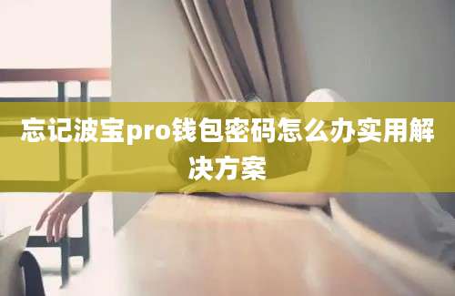 忘记波宝pro钱包密码怎么办实用解决方案