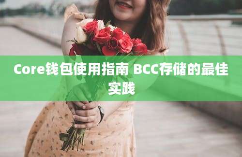 Core钱包使用指南 BCC存储的最佳实践