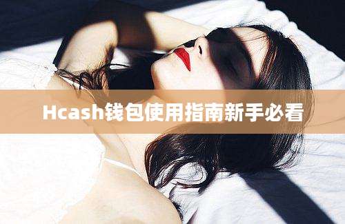 Hcash钱包使用指南新手必看