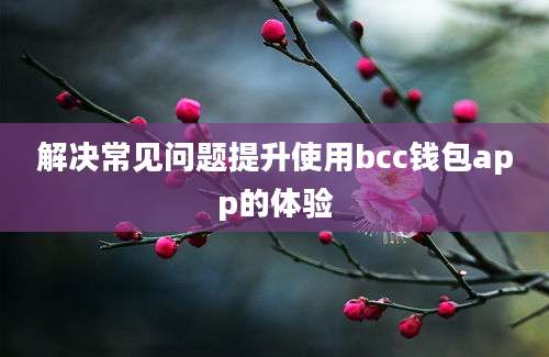 解决常见问题提升使用bcc钱包app的体验