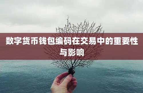 数字货币钱包编码在交易中的重要性与影响