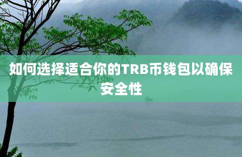 如何选择适合你的TRB币钱包以确保安全性