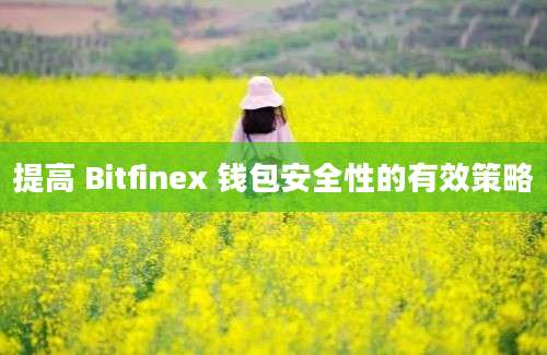 提高 Bitfinex 钱包安全性的有效策略