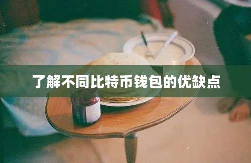 了解不同比特币钱包的优缺点