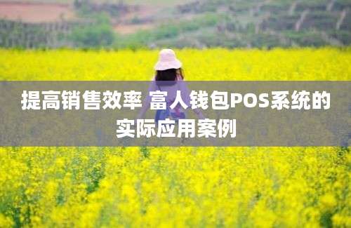 提高销售效率 富人钱包POS系统的实际应用案例