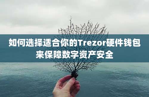 如何选择适合你的Trezor硬件钱包来保障数字资产安全