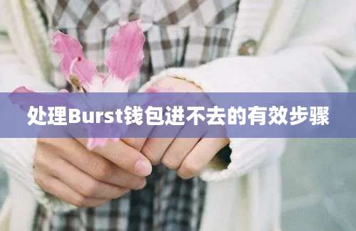 处理Burst钱包进不去的有效步骤