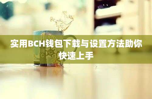 实用BCH钱包下载与设置方法助你快速上手