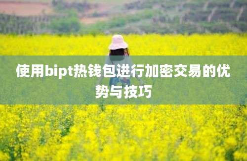 使用bipt热钱包进行加密交易的优势与技巧