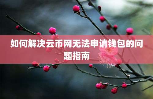 如何解决云币网无法申请钱包的问题指南