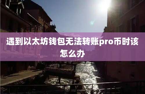 遇到以太坊钱包无法转账pro币时该怎么办