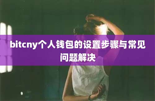 bitcny个人钱包的设置步骤与常见问题解决