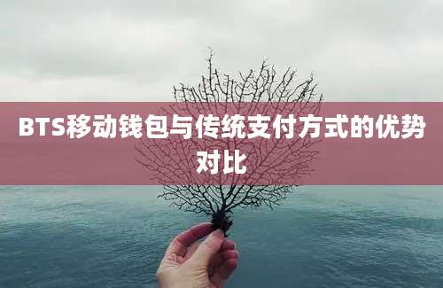 BTS移动钱包与传统支付方式的优势对比