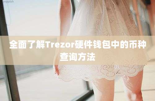 全面了解Trezor硬件钱包中的币种查询方法