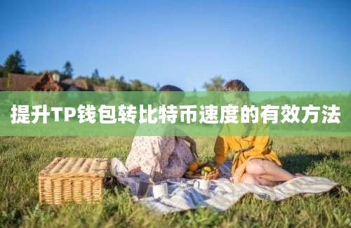 提升TP钱包转比特币速度的有效方法