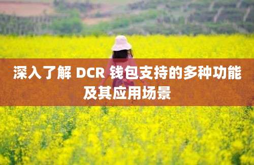 深入了解 DCR 钱包支持的多种功能及其应用场景