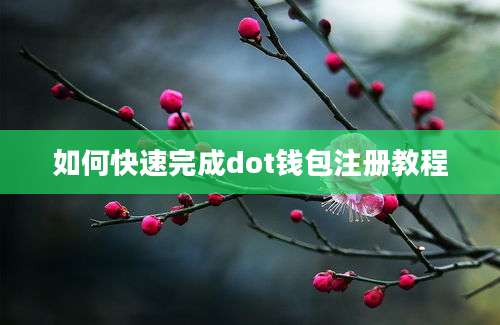 如何快速完成dot钱包注册教程