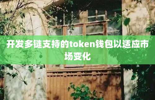 开发多链支持的token钱包以适应市场变化