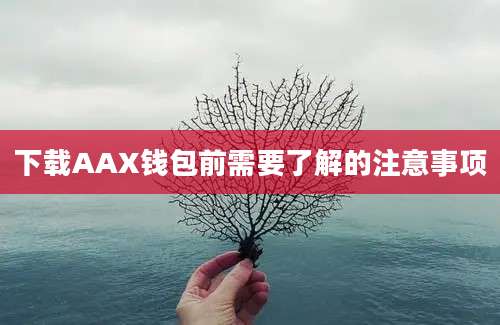 下载AAX钱包前需要了解的注意事项