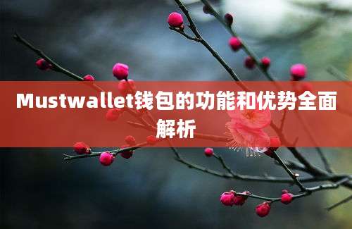 Mustwallet钱包的功能和优势全面解析