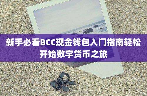 新手必看BCC现金钱包入门指南轻松开始数字货币之旅