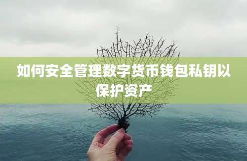 如何安全管理数字货币钱包私钥以保护资产