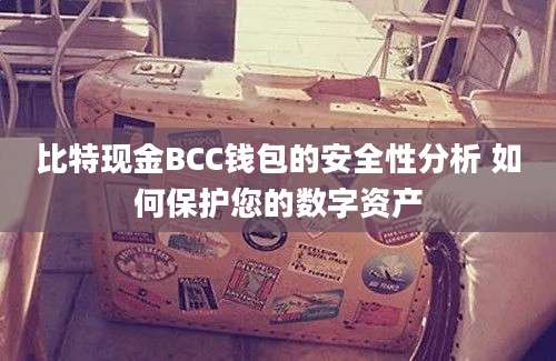 比特现金BCC钱包的安全性分析 如何保护您的数字资产