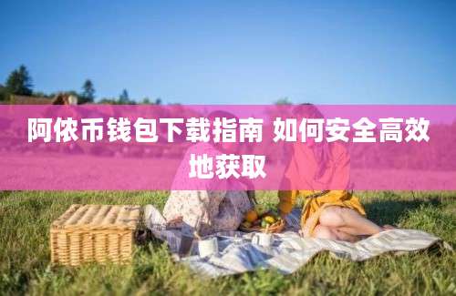 阿侬币钱包下载指南 如何安全高效地获取