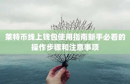 莱特币线上钱包使用指南新手必看的操作步骤和注意事项