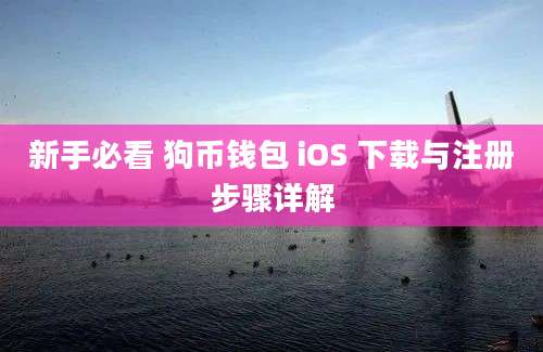 新手必看 狗币钱包 iOS 下载与注册步骤详解