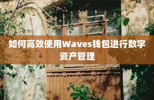 如何高效使用Waves钱包进行数字资产管理