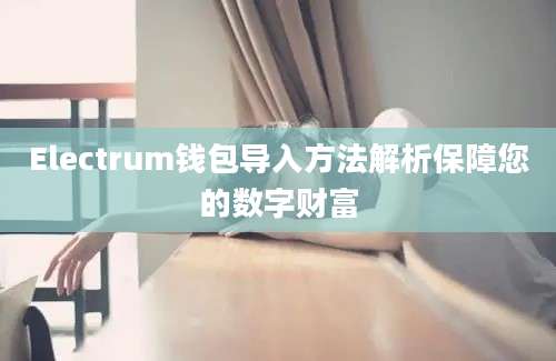 Electrum钱包导入方法解析保障您的数字财富